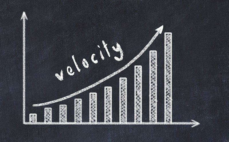 velocity graphic grow banner